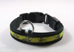 LED Dog Leash and Collar for Pets