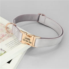 Gold Anti-Loss Dog Tag for Pets