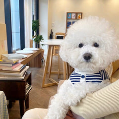 Summer Striped Tank Top for Pets