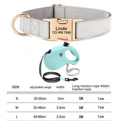 Gold Anti-Loss Dog Tag for Pets
