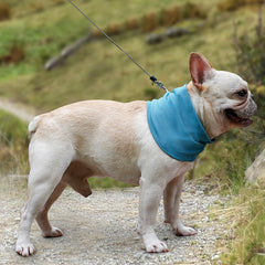 Cooling Neck Scarf for Dogs - Ice and Triangle Design